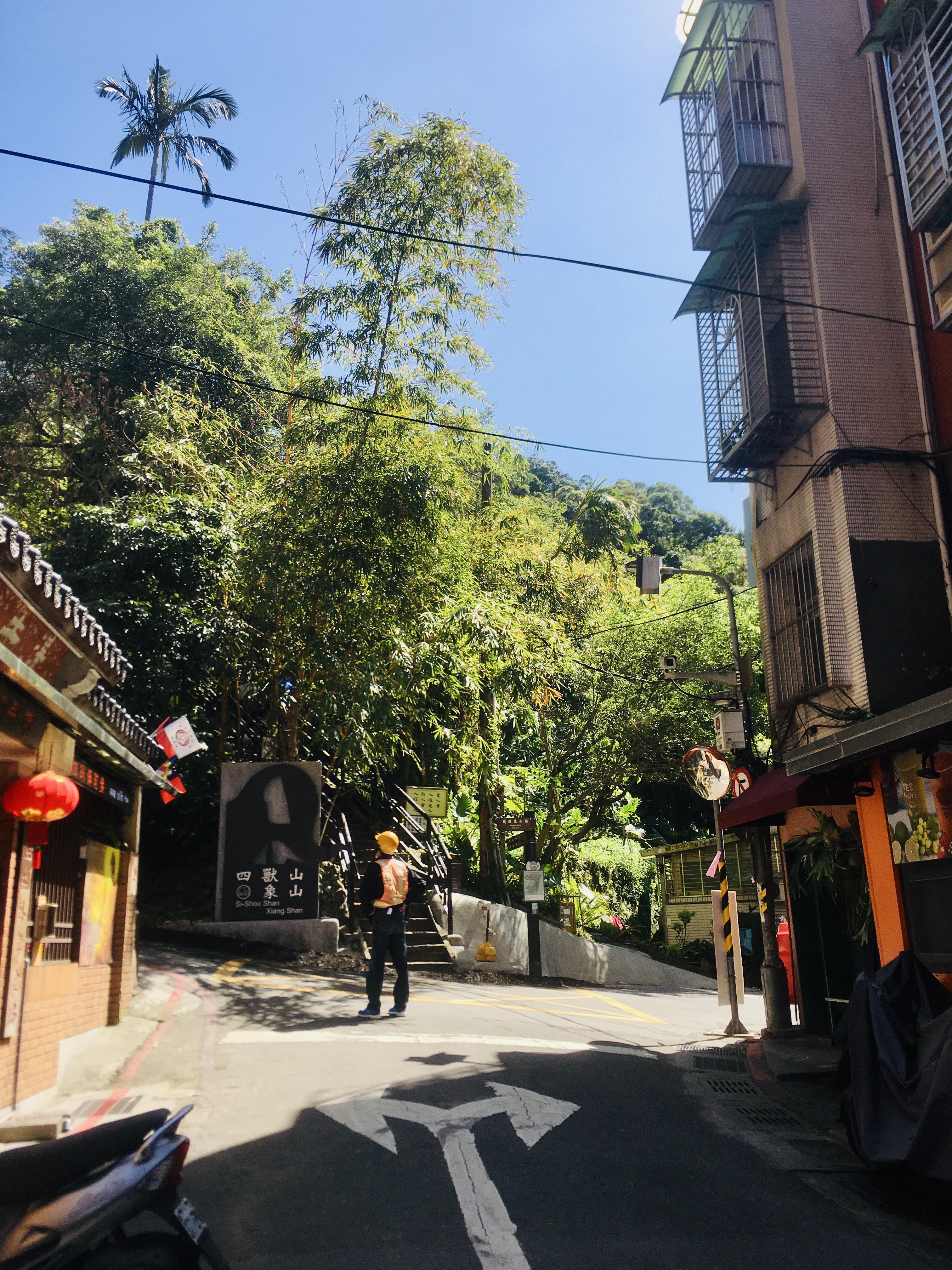 Quiet Taipei alley with tropical trees